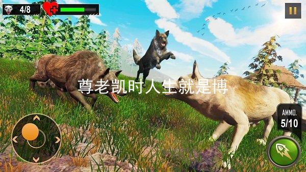 尊老凯时人生就是博